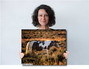 Wild Horse Photography - Dusk Sentinel Pinto - Western Wall Art - Rustic Home Decor