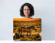 Amber Dusk Mustang - Wild Horse Photography Art - Western Sunset Prairie Wall Decor