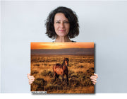 Amber Dusk Mustang - Western Horse Photography - Golden Prairie Sunset Wall Art