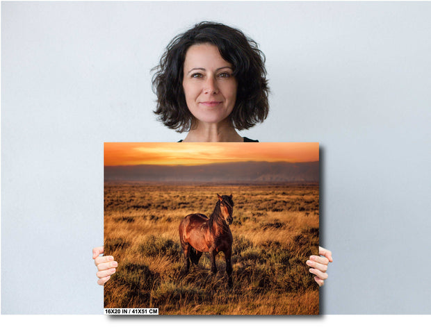 Amber Dusk Mustang - Western Horse Photography - Golden Prairie Sunset Wall Art
