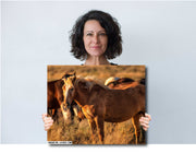 Wild Mustang Wall Art 'Amber Dusk' - Wild Horse Photography - Western Home Decor Canvas Print