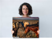 Wild Horse Photography - Sunset Whispers Canvas Print - Mustang Bond Wall Art - Western Decor