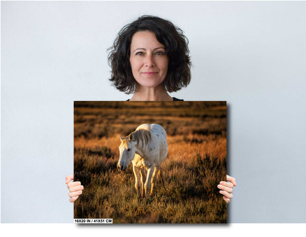 White Horse Wall Art - 'Sunset Solitude' - Canvas Print Western Wildlife Photography Rustic Decor