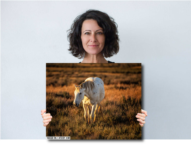 White Horse Wall Art - 'Sunset Solitude' - Canvas Print Western Wildlife Photography Rustic Decor