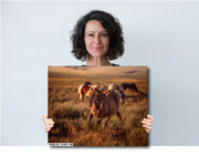 Wild Horse Photography Wall Art - 'Sunset Spirit' - Canvas Print Western Decor Fine Art