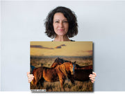 Wild Mustang Wall Art - 'Sunset Companions' - Western Horse Photography - Rustic Home Decor