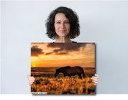 Sunset Silhouette Wild Horse Photography - Western Prairie Wall Art - Amber Horizon Decor