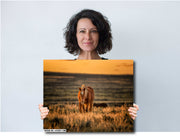 Wild Horse at Sunset - Amber Horizon Canvas Print - Western Prairie Wall Art Home Decor