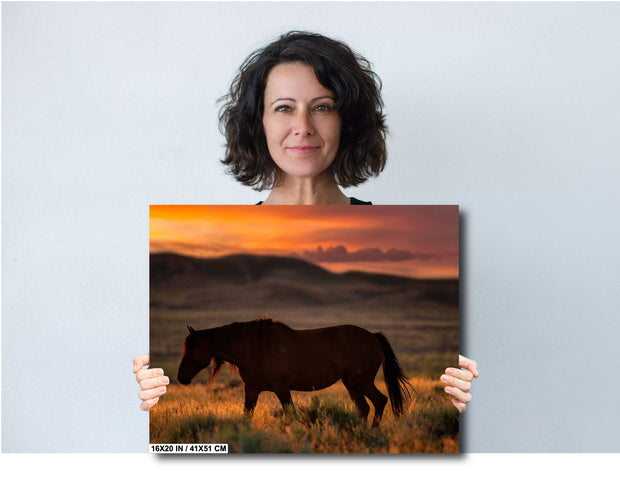 Dusk Wanderer - Wild Horse Sunset Wall Art - Western Prairie Photography - Rustic Home Decor