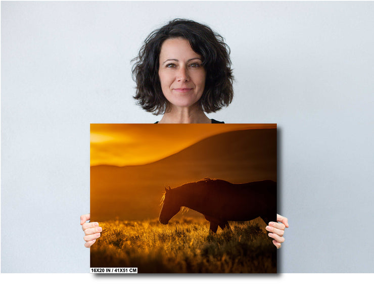 Wild Horse Silhouette Wall Art - Amber Sunset - Western Landscape Photography - Rustic Home Decor
