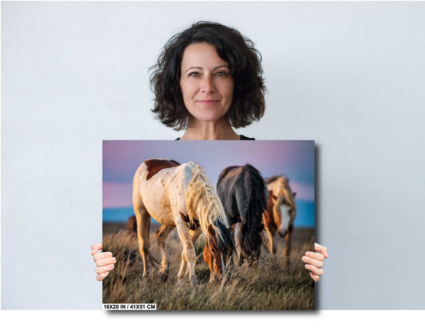 Wild Mustang Photography - 'Dusk Harmony' - Western Horse Wall Art - Canvas Print