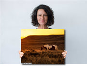 Wild Horse Photography - Amber Dusk Solitude - Pinto Mustang Canvas Art - Western Decor