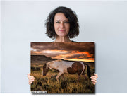 Wild Mustang Photography 'Fiery Horizon' - Paint Horse Wall Art - Western Sunset Decor