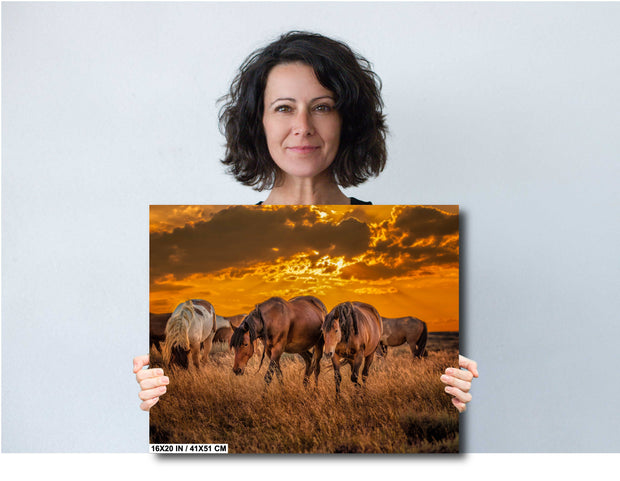 Wild Horse Photography - Amber Sunset Herd - Western Prairie Art - Mustang Wall Decor