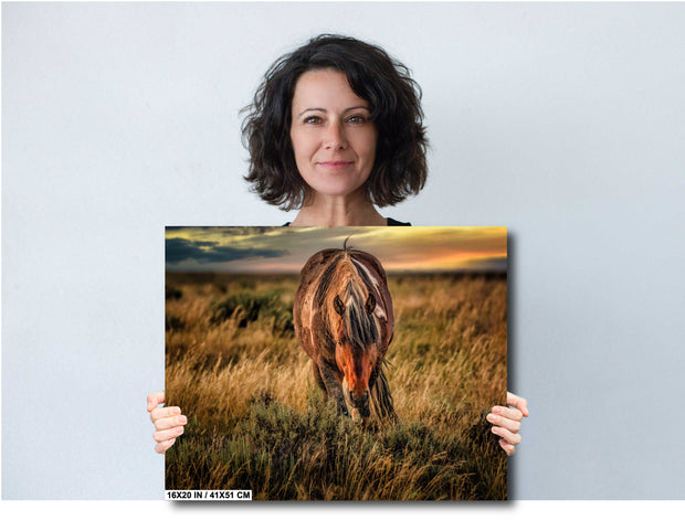 Wild Mustang Photography - 'Twilight Guardian' - Western Horse Wall Art - Sunset Prairie Decor