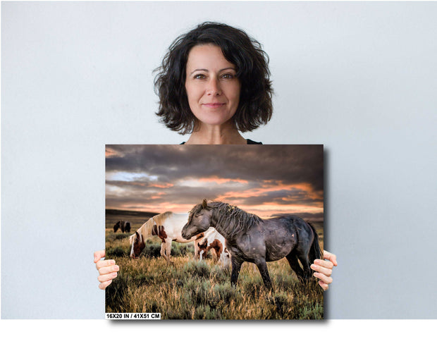 Wild Horse Photography - 'Twilight Sentinels' - Western Landscape Canvas Print - Mustang Art