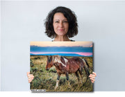 Wild Mustang Wall Art 'Dusk Wanderer' - Paint Horse Photography - Western Landscape Print