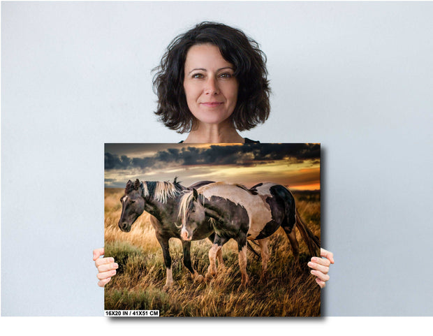 Wild Horse Photography - 'Golden Hour Companions' - Western Sunset Wall Art - Mustang Canvas Print