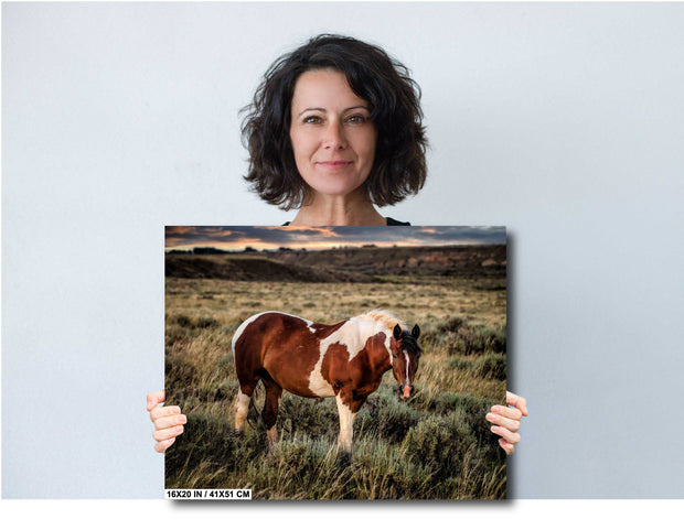 Wild Horse Wall Art 'Twilight Sentinel' - Pinto Mustang Photography - Western Decor Print Canvas
