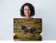 Wild Mustang Photography 'Dappled Warrior' - Western Horse Wall Art - Canvas Print Home Decor