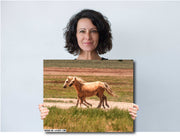 Golden Palomino Mustangs Wall Art - Wild Horses in Motion - Western Landscape Photography