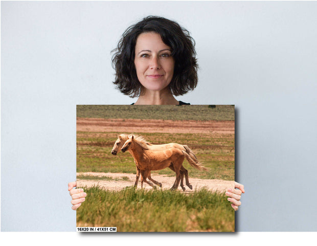 Golden Palomino Mustangs Wall Art - Wild Horses in Motion - Western Landscape Photography