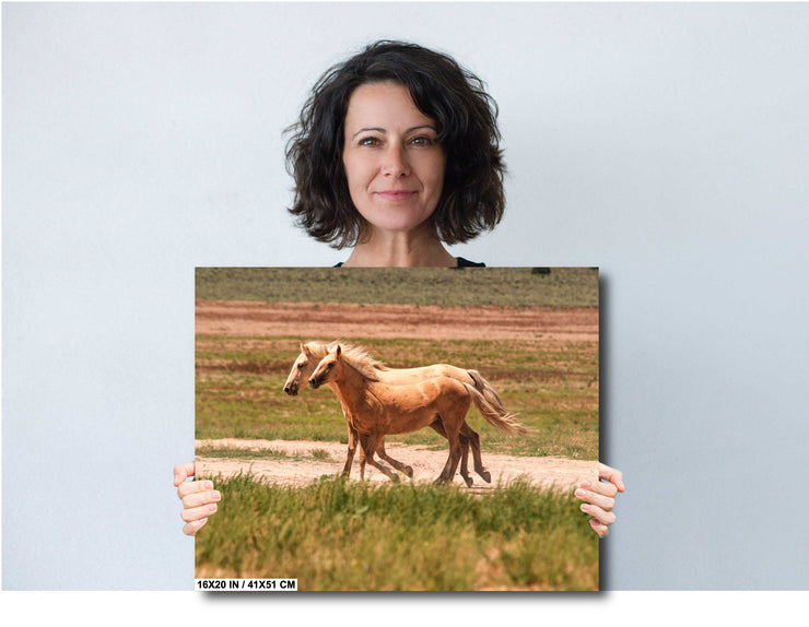Golden Palomino Mustangs Wall Art - Wild Horses in Motion - Western Landscape Photography