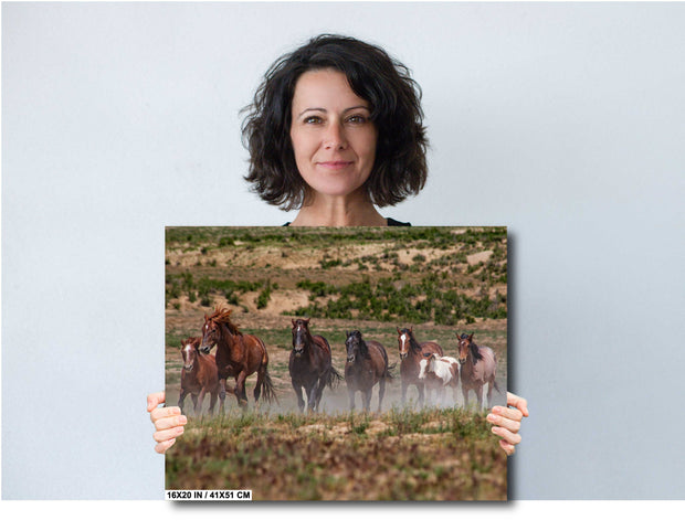 Wild Mustang Herd 'Unbridled Freedom' Canvas Print - Western Horse Photography Wall Art Decor