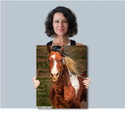 Windswept Freedom - Chestnut Pinto Horse Portrait - Equine Fine Art Photography