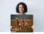 Wild Mustang Photography 'Primal Challenge' - Western Horse Wall Art - Rustic Home Decor