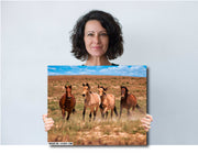 Wild Mustang Photography 'Prairie Quartet' - Canvas Print Horse Wall Art - Western Decor
