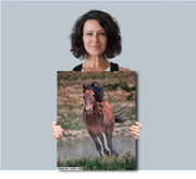 Wild Mustang Wall Art 'Windswept Freedom' - Bay Horse Photography Print - Western Decor