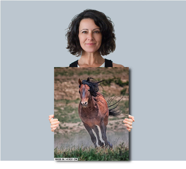 Wild Mustang Wall Art 'Windswept Freedom' - Bay Horse Photography Print - Western Decor