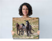 Wild Mustang Trio Photography - 'Boundless Spirit' - Horse Wall Art Canvas Print Western Decor