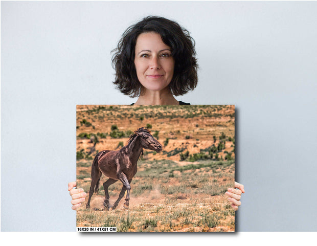 Wild Mustang Wall Art 'Freedom Run' - Dark Horse Photography Print - Western Desert Landscape Decor