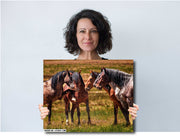 Wild Mustang Photography Art - 'Silent Council' - Horse Wall Art Canvas Print - Western Decor