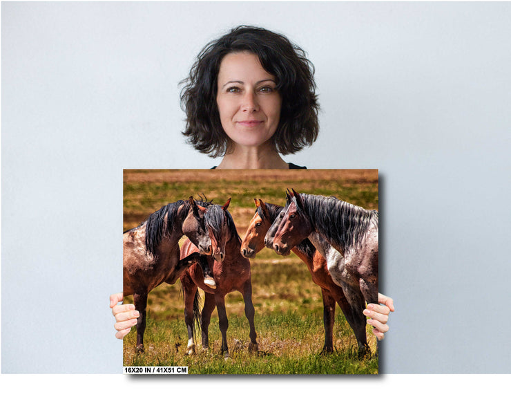 Wild Mustang Photography Art - 'Silent Council' - Horse Wall Art Canvas Print - Western Decor