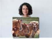 Wild Horse Photography - 'Unspoken Bond' - Western Wall Art - Mustang Herd Canvas Print