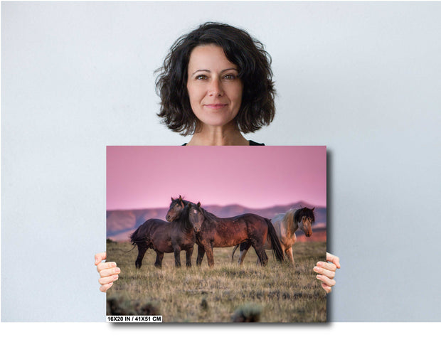 Wild Mustang Wall Art 'Rose Sky Sentinels' - Horse Photography Print - Western Landscape Decor