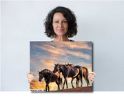 Wild Mustang Photography 'Golden Hour Herd' - Horse Wall Art - Western Sunset Decor