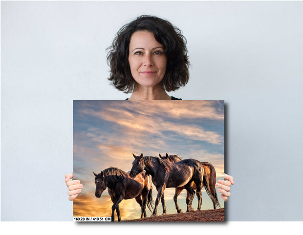 Wild Mustang Photography 'Golden Hour Herd' - Horse Wall Art - Western Sunset Decor