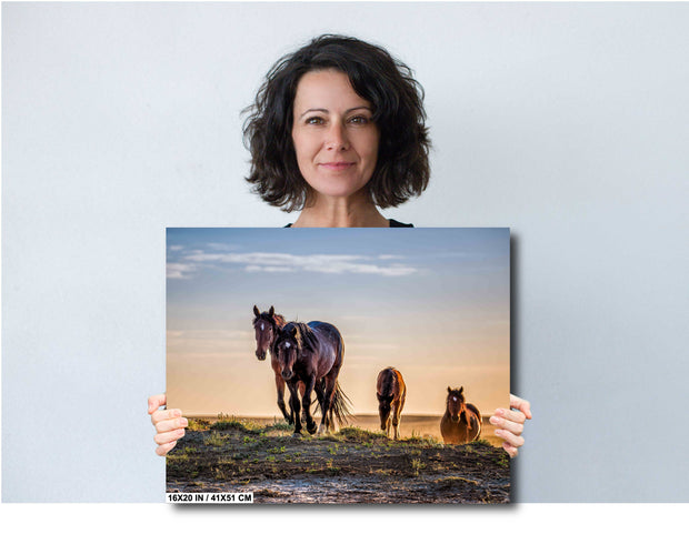 Sunset Journey - Wild Mustang Family Wall Art - Horse Photography Print Canvas Metal Decor