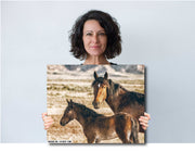 Wild Horse Photography - Maternal Vigilance Canvas Print - Wild Mustang Mare and Foal Wall Art