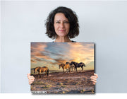 Wild Mustang Wall Art 'Sunset Procession' - Western Horse Photography - Desert Landscape Canvas