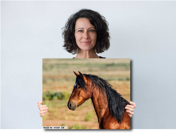 Majestic Mustang Wall Art - Bay Horse with Flowing Black Mane - Western Wildlife Photography