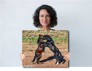 Wild Mustang Photography 'Primal Dance' - Black and Bay Stallions Wall Art - Horse Print Canvas Metal