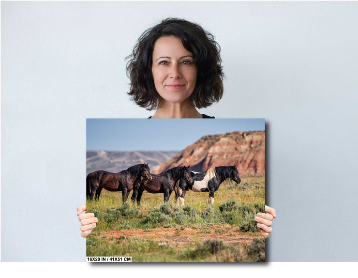 Wild Mustang Trio Wall Art - Red Mesa Guardians - Western Landscape Photography - Home Decor