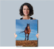 Wild Mustang Wall Art 'Horizon Guardian' - Bay Horse Photography - Western Decor Print Canvas
