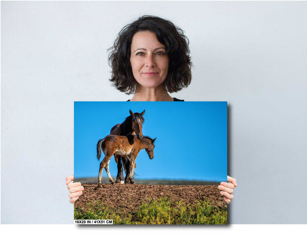 Wild Horse Photography 'Eternal Bond' - Mare and Foal Wall Art - Western Wilderness Decor