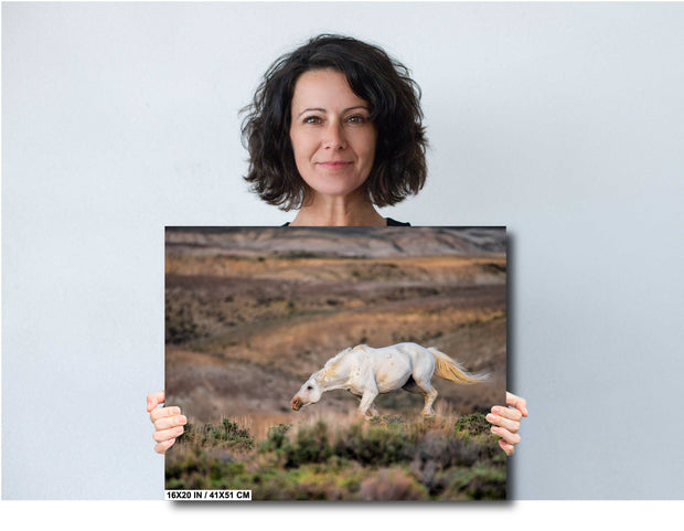 White Mustang Photography - 'Desert Ghost' - Wild Horse Canvas Print - Western Landscape Art